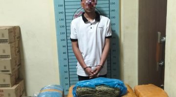 Sat Narkoba Polres Agara Ungkap Kasus Besar Narkotika, 17,8 Kilogram Ganja Disita di Kecamatan Ketambe